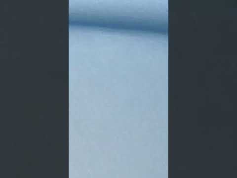 #flowers #plants #coffee