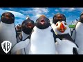 Happy Feet Two If You Will It Warner Bros Entertainment