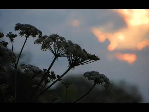 ☆ To já se vracím - Progres 2 [HD]