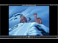 Opening To LBT 6 2003 DVD 2017 Re Print Subtitles
