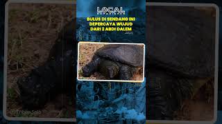 Konon Wujud dari Abdi Dalem yang Dikutuk, Begini Asal Muasal Legenda Bulus di Sendang Bulus Jimbung
