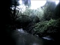 Six Organs Of Admittance - All You've Left 