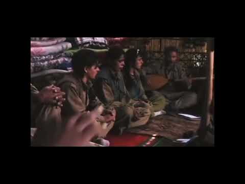 Tiktok Kurdish Song Hoy limi na na limi fatê