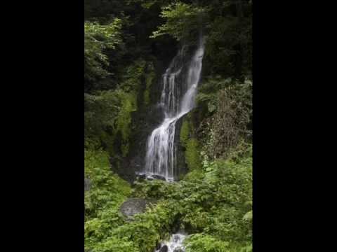 01.- PARAÍSO _ DREAMS -Reflejos-, 2003.wmv