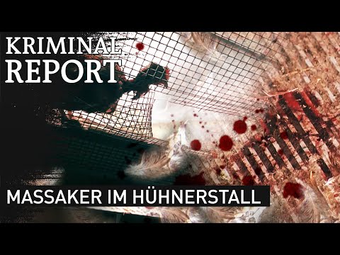 Massaker im Hühnerstall | Kriminalreport