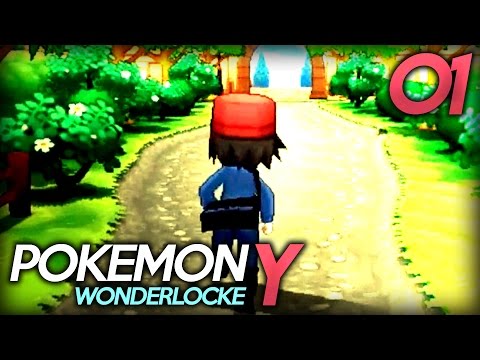 Pokemon Y Wonderlocke - 01 - THE HYPE! w/ PlayRoughh