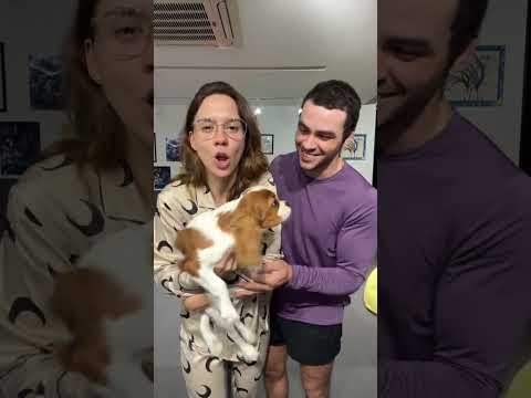 LUCCAS NETO E JESSI CANTAM O SONHO QUE SONHEI