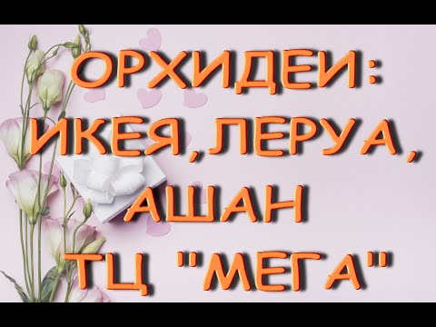 ОРХИДЕИ:Икея,ЛЕРУА,Ашан(ТЦ "МЕГА") на 11.02.21,Самара.