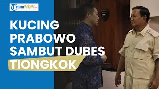 Momen Prabowo Bersama Kucing Terima Kunjungan Dubes Tiongkok, Bahkan Lu Kang Ajak Foto Bareng