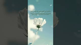 Download lagu 'YA HABIBANA ALI' | iLirik mp3 Download lagu 'YA HABIBANA ALI' | iLirik mp3