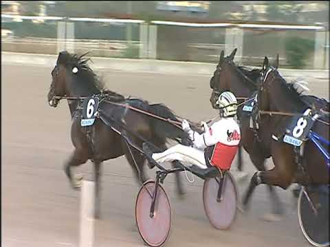 Trotto 06/12/2019 - 4ª corsa