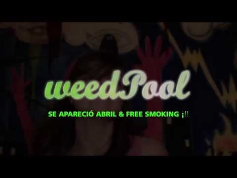 WEED POOL + PRESENTACION EN VIVO "MOVIMIENTO ORIGINAL"