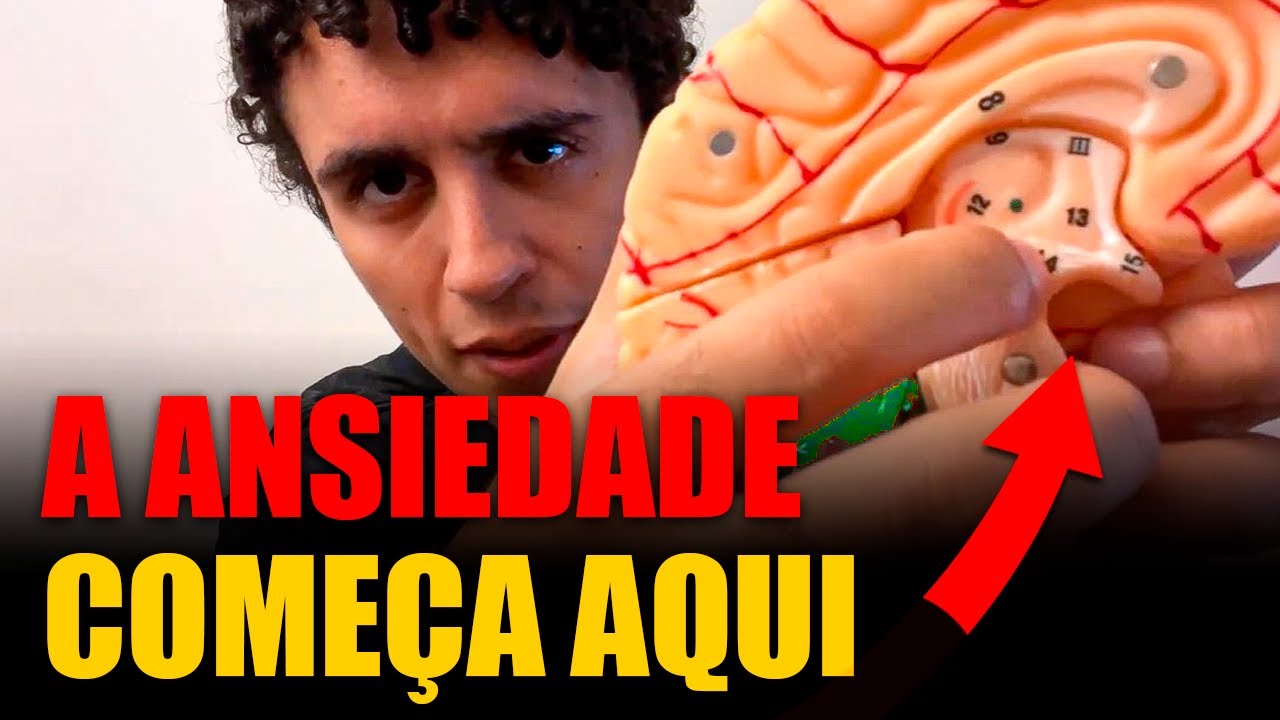 O Cérebro Ansioso