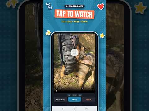 Tagged Paws: UGC Pet Videos video thumbnail