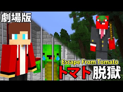 映画「トマト脱獄」- Escape From Tomato Prison