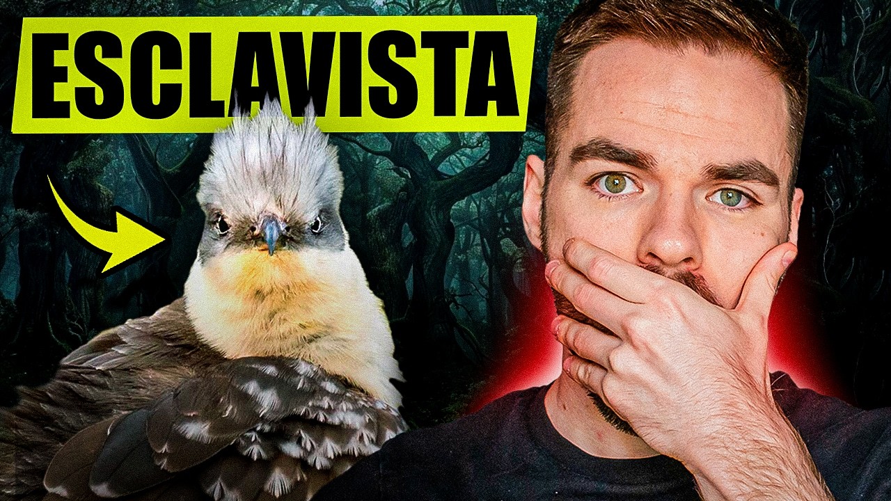 A SUPERPARASITE with Mafia-like Strategies | The European Crialo🐦