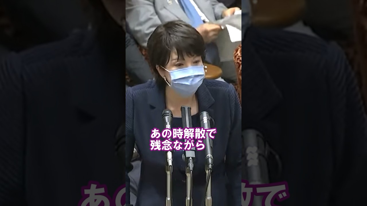 蓮舫議員を煽りまくる高市早苗#政治 #国会 #マイナ保険証#自民党 #立憲民主党  #shorts