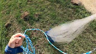 Bait Fish Hual with a Cast net
