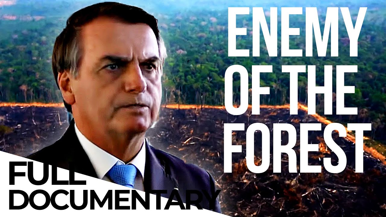 How Brazil is Fighting Against Bolsonaro’s Policies | Amazon | Deforestation