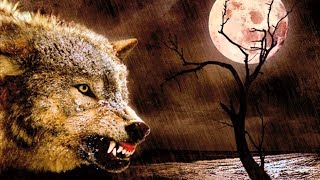 CATAMENIA - CLOSED GATES OF HOPE