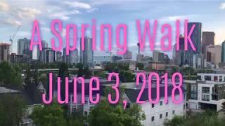 A Spring walk by the river