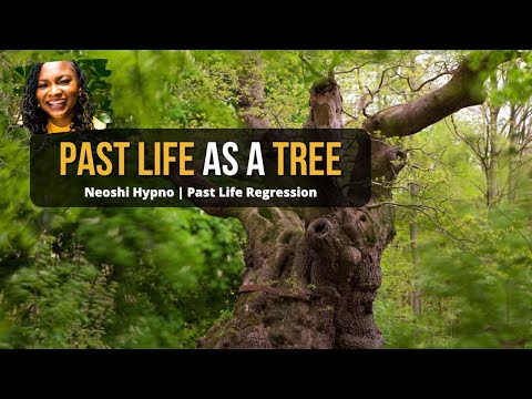193 Neoshi Hypno - Past Life as a TREE | Past Life Regression