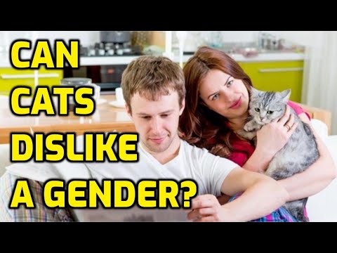Do Cats Prefer Women Over Men?