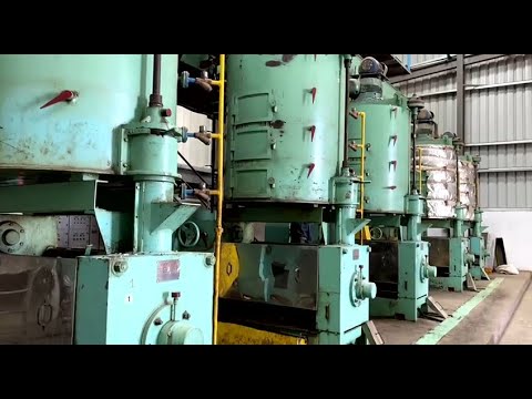 Cottonseed oil mill plant
