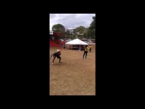 World Cup Frenzy 2014