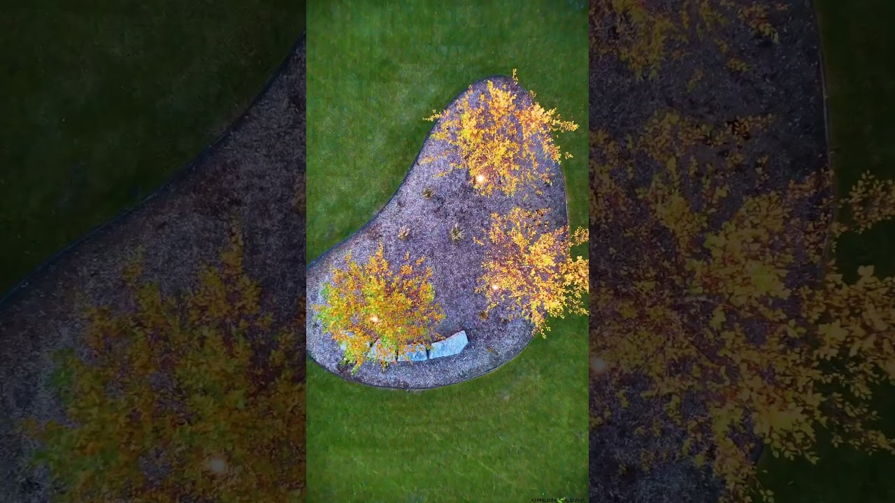 Creative Short-Form Content