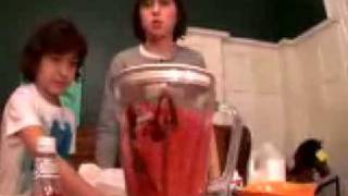 The Naked Brothers Band How To Make a Banana Smoothie