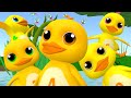 Chú Vịt Con Lông Vàng Nhạc Thiếu Nhi Chú Vịt Nâu Chú Vịt Con Một Con Vịt