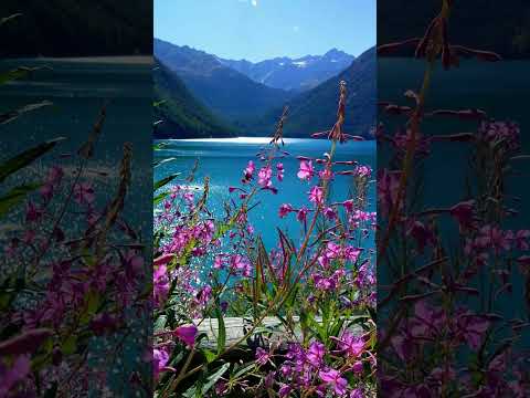 hickiya ati hai to pani pi leta hu...  #motivation #youtubeshorts Zainab Aliya