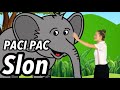 PACI PAC Slon Pre Deti Nursery Rhymes Kids Songs