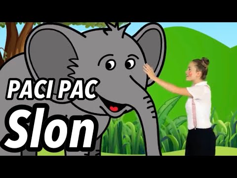 PACI PAC - Slon | Pre deti | Nursery rhymes | Kids songs