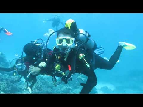 Supriyo #scubadiving #GreatBarierReef #Australia
