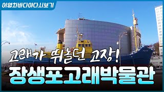 고래의 고장! 장생포고래박물관에서 고래잡이의 역사를 알아봅니다 #울산 #장생포 #고래잡이 #고래 #고래박물관