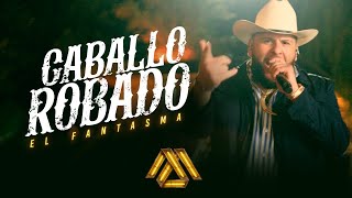 Caballo Robado Lyrics English Translation