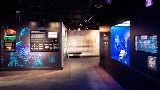 Las Vegas Mob Museum Opens First-of-its-Kind Exhibit on Digital Organized Crime