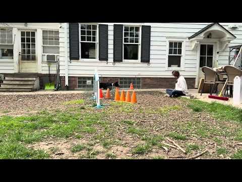 Violet BSSlice and FSSlice 250601