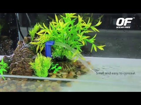 Watch Video on YouTube