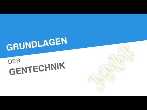 GRUNDLAGEN DER GENTECHNIK | Biologie | Genetik und Entwicklungsbiologie