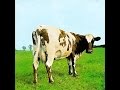 Pink Floyd: 'Atom Heart Mother' The Vinyl ...