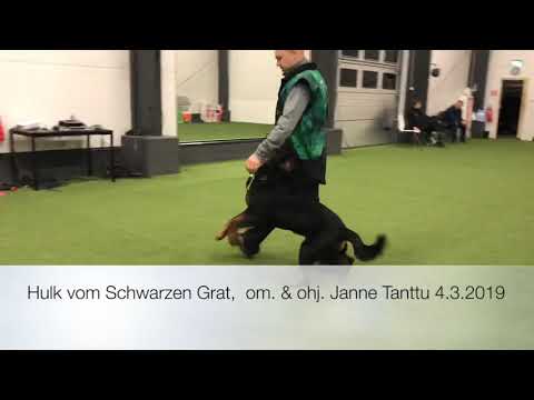 Hulk vom Schwarzen Grat 4.3.19