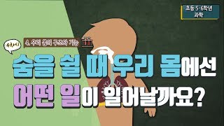 [초등 과학 6-2] 4. 우리 몸의 구조와 기능 - 4차시 숨을 쉴 때 우리 몸에서는 어떤 일이 일어날까요? : 호흡기관
