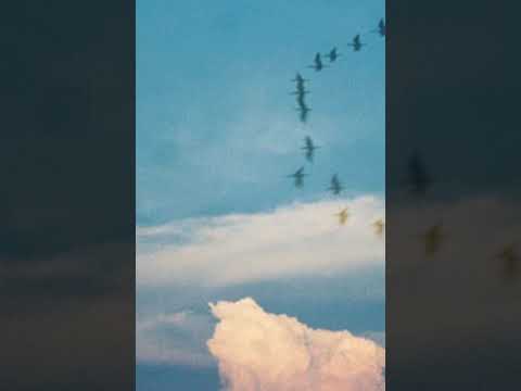 Deep Magic - Crystal Visions (2009, USA)