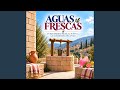 AGUAS FRESCAS