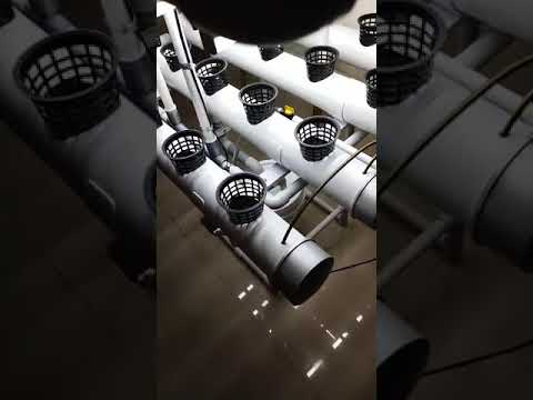 20 Planter, INDOOR, DFT Hydroponic System Kits. Grow Your Own Herbs & Greens. WhatsApp +919080904277