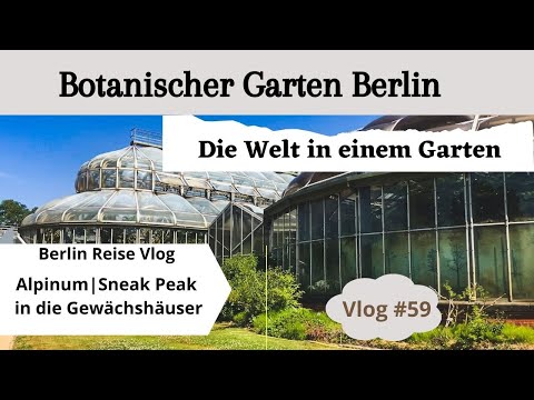 #59 Botanischer Garten Berlin | ein Highlight meiner Berlin Reise | Berlin Ausflugstipp
