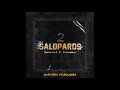Amine 16 3 Ft L Morphine 2 SALOPARDS MOLTRAP 08 Prod By Dr Jay